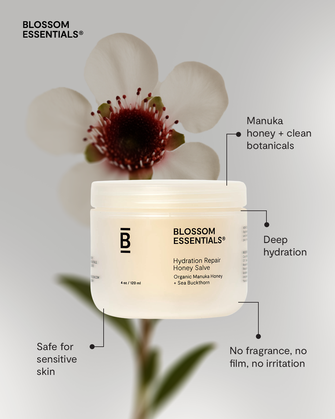 Graphic depicting a color palette of Stone Brown, Dark Navy, Beige, and Cream White along with corresponding hex color codes.